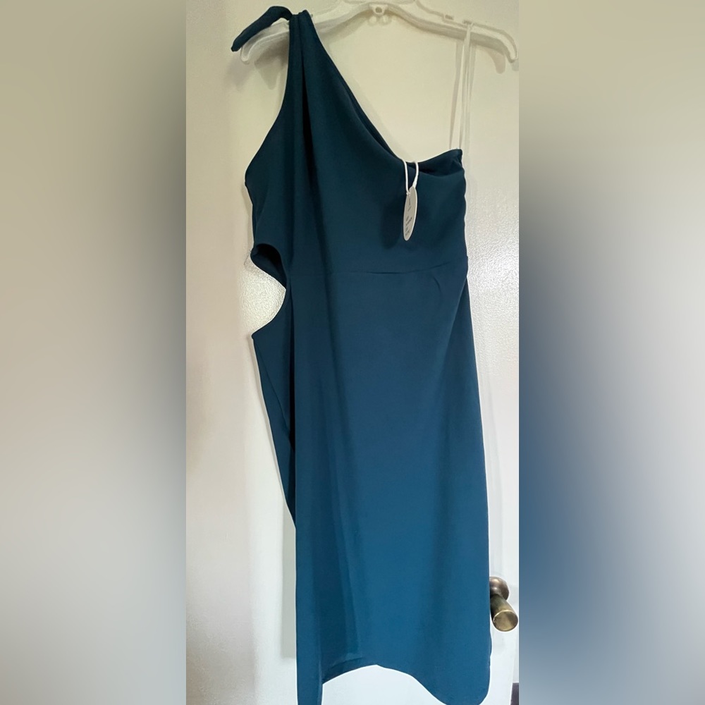 One should bodycon dress- NWT